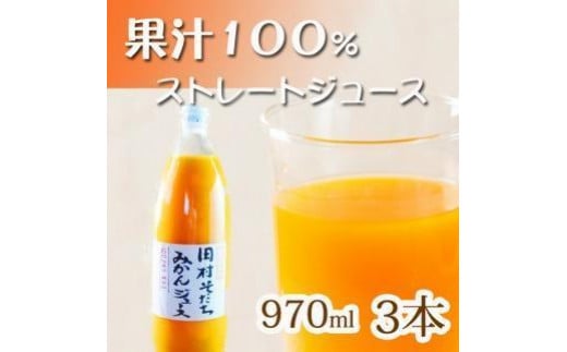 果汁100％田村そだちみかんジュース　970ml×3本 762249 - 和歌山県和歌山市