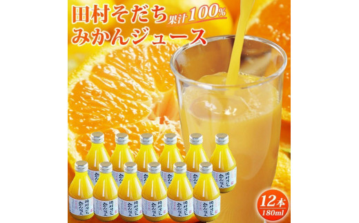 果汁100％田村そだちみかんジュース 180ml×12本 480531 - 和歌山県由良町