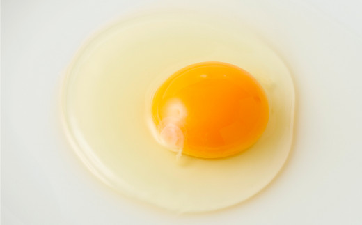 【6ヶ月定期便】電子卵(赤玉) 合計360個(60個×6回)