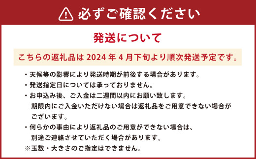  熊本市植木町産 小玉すいか