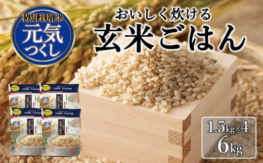 おいしく炊ける玄米ごはん元気つくし 6kg 1238453 - 福岡県大川市