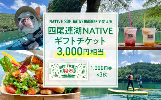 四尾連湖 NATIVEギフトチケット3,000円券 native surf[5839-2051]