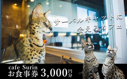 お食事券 3,000円分 cafe Surin ( カフェ スリン ) 南城市