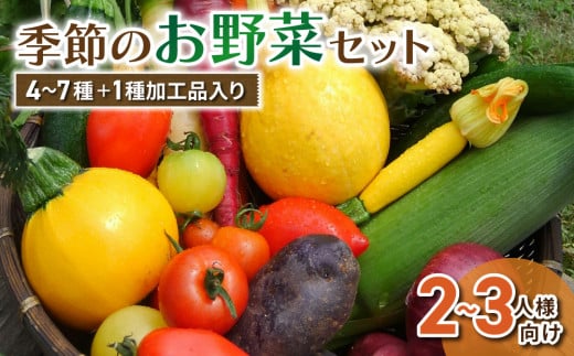 【アグロノーム】季節のお野菜セット（２〜３人様向け）※2024年7月以降発送開始 977578 - 長野県東御市