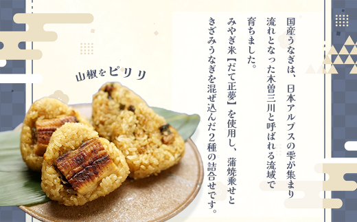 みやぎ米【だて正夢】を使用し、蒲焼乗せときざみうなぎを混ぜ込んだ2種の詰め合わせです