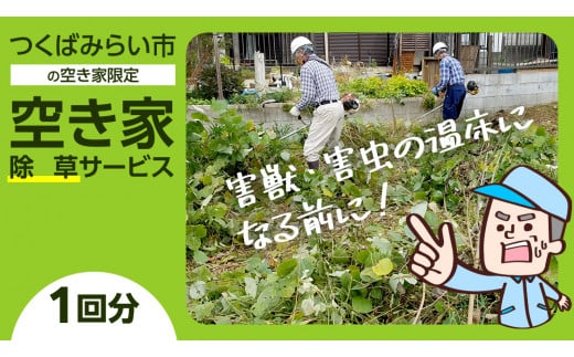 空き家除草サービス【1回分】 管理 見守り 代行 点検