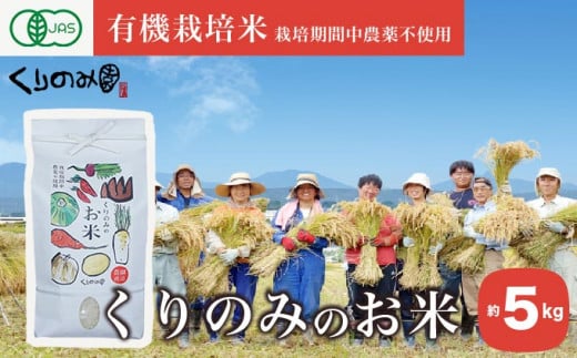 ［有機栽培米］くりのみのお米 約5kg ［くりのみ園］お米 米 おこめ 5キロ 長野県産 白米 信州 オーガニック 栽培期間中農薬不使用 ［A-43］ 495073 - 長野県小布施町