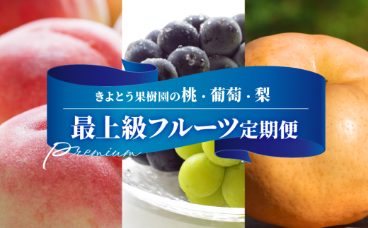 KF-T033【きよとう】桃、ぶどう、梨の最上級品を旬にお届けする3回便！ 1254288 - 岡山県真庭市