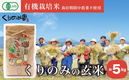  ［有機栽培米］くりのみの玄米 約5kg ［くりのみ園］お米 米 おこめ 5キロ 長野県産 玄米 信州 オーガニック 栽培期間中農薬不使用 ［A-44］ 495074 - 長野県小布施町