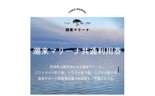 潮来マリーナ　施設内共通3,000円分利用券【1487107】 1246935 - 茨城県潮来市