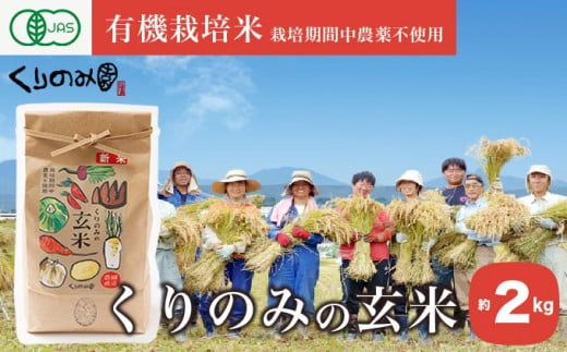  ［有機栽培米］くりのみの玄米 約2kg ［くりのみ園］お米 米 おこめ 2キロ 長野県産 玄米 信州 オーガニック 栽培期間中農薬不使用 ［H-61］ 495078 - 長野県小布施町