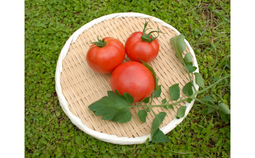 ミネラル分豊富な上勝の土でオーガニック栽培された木なり完熟トマトを使っています。