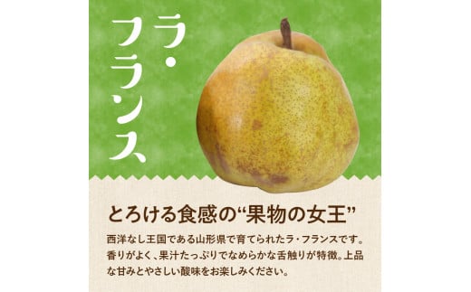 山形県東根市のふるさと納税 【令和6年産 先行予約】サンふじ&ラフランス 詰め合わせ 5kg(秀品) 東根市 山形県 東根農産センター提供 hi027-128