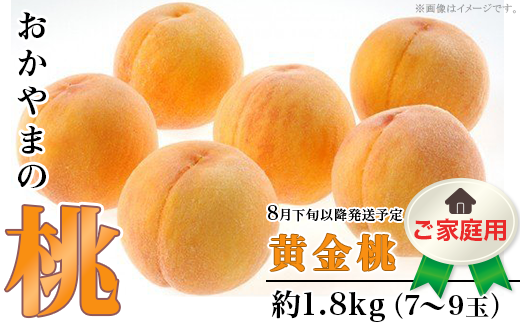 【ご家庭用】おかやまの「黄金桃」約1.8kg（7～9玉）