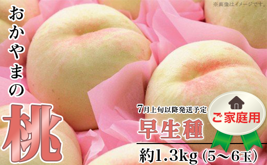 河津町産 農家の自家用いちご「紅ほっぺ」 約1.5kg 【いちご】特集