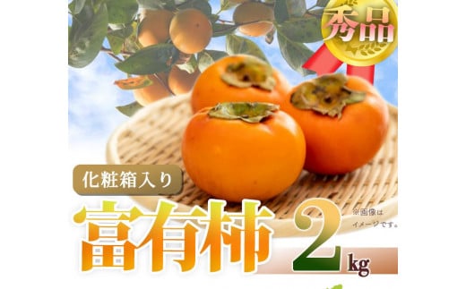 和歌山秋の味覚　富有柿　約２ｋｇ化粧箱入「2024年11月上旬以降発送予定」【UT49】