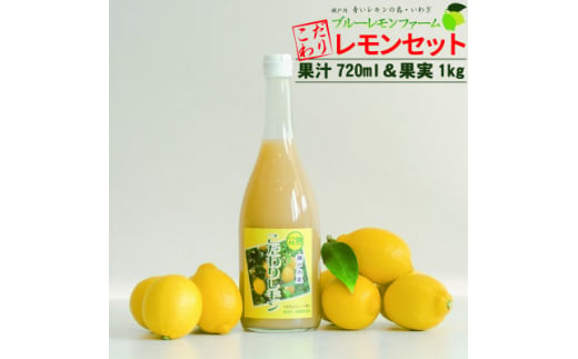 愛媛　ブルーレモンファームのレモン果汁1本とレモン約1kg【1489690】 1247743 - 愛媛県上島町