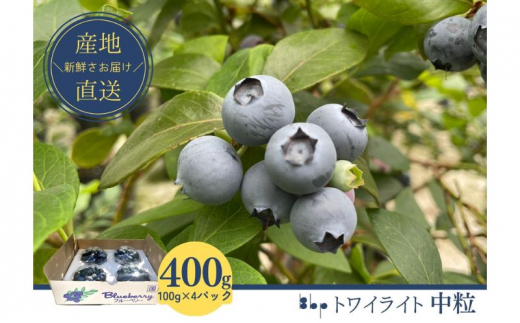 [№5904-0533]【栽培期間中農薬不使用】フレッシュブルーベリー　(トワイライト中粒100g×4）