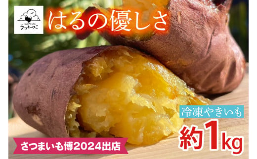 GC-2　【日本最大級のサツマイモの祭典、さつまいも博2024 出店】はるの優しさ（冷凍やきいも）約1kg　冷凍 焼芋 焼き芋 やきいも さつまいも さつま芋 熟成 選べる 1248611 - 茨城県行方市