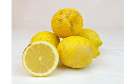 【有機JAS認証】『訳あり』レモン島からお贈りするオーガニックレモン 5kg 有機レモン 産直 国産 有機栽培