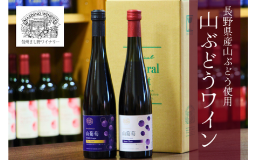 MW12-24F 山葡萄ワイン2種セット（500ml×2本）// 長野県 南信州 山ぶどう 山葡萄 贈答 ギフト 稀少 甘口ワイン 辛口ワイン