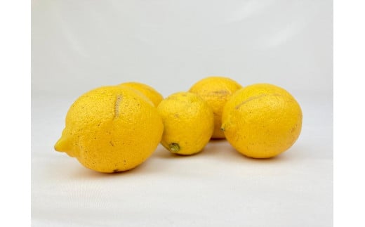 【有機JAS認証】レモン島からお贈りするオーガニックレモン 5kg 有機レモン 産直 国産 有機栽培