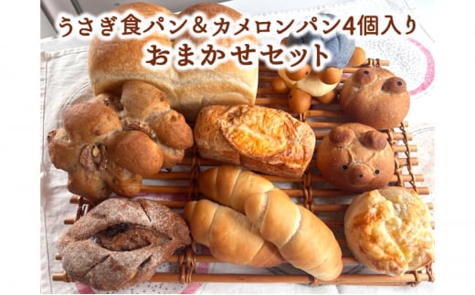 うさぎ食パン＆カメロンパン4個入り おまかせセット 1249090 - 神奈川県綾瀬市