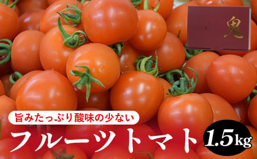 803．旨みたっぷり酸味の少ないフルーツトマト 1.5kg※着日指定不可※離島への配送不可※2024年6月上旬～10月下旬頃に順次発送予定 1248297 - 鳥取県北栄町