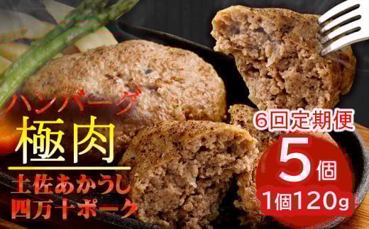 土佐あかうしと四万十ポークのハンバーグ５個セット【６回定期便】 頒布会