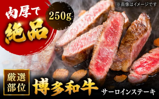 博多和牛 サーロイン ステーキ 250g [250g×1枚] 