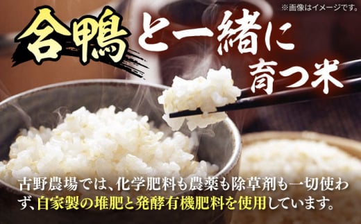 [栽培期間中農薬不使用]古野農場 合鴨農法 合鴨米（玄米）8kg 