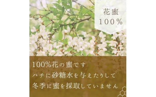 北海道余市町のふるさと納税 北海道余市町産　無添加はちみつ　夏の百花(滝下養蜂園)　180g［ふるさとクリエイト］