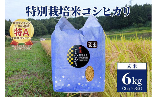 【50セット限定】令和5年産 新潟上越清里産 特別栽培米コシヒカリ6kg(2kg×3袋)玄米 1249792 - 新潟県上越市