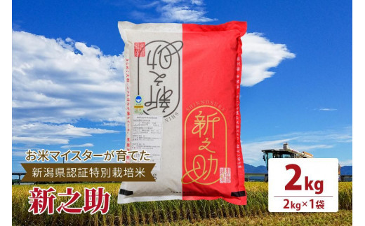 令和5年産お米マイスターが育てた新潟県認証特別栽培米「新之助」上越頸城産 2kg(2kg×1)精米 1249774 - 新潟県上越市