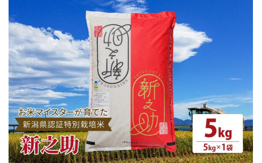 令和5年産お米マイスターが育てた新潟県認証特別栽培米「新之助」上越頸城産 5kg(5kg×1)精米 1249773 - 新潟県上越市
