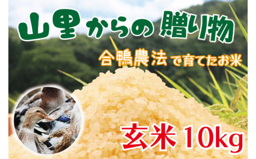BI002　山里からの贈り物　合鴨農法　玄米　令和5年産　10kg