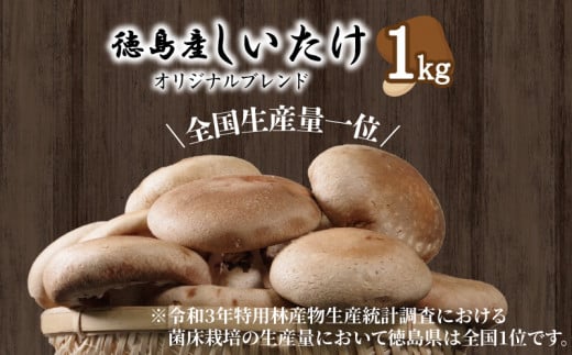 しいたけ 1kg 冷蔵 国産 徳島県 全国生産量1位 椎茸 しいたけ きのこ 肉厚 濃厚 家庭用 おかず 1324194 - 徳島県小松島市