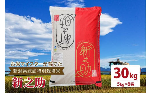 令和5年産お米マイスターが育てた新潟県認証特別栽培米「新之助」上越頸城産30kg(5kg×6)精米 1249772 - 新潟県上越市