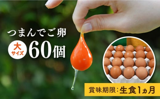 【 プリップリ な 卵黄 ！】 つまんでご卵 60個 セット 糸島 / 緑の農園 たまご 卵 [AGA012] 生卵 鶏卵