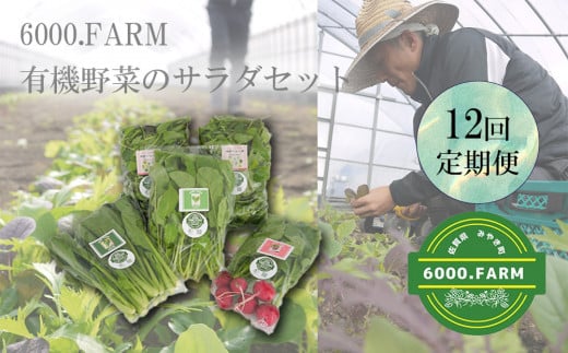 FV020_【12回定期便】6000.FARMの有機野菜のサラダセット