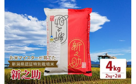 令和5年産お米マイスターが育てた新潟県認証特別栽培米「新之助」上越頸城産 4kg(2kg×2)精米 1249779 - 新潟県上越市