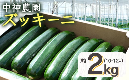 産地直送】中神農園の ズッキーニ 約2kg (10～12本) 【期間限定：11月下旬～5月下旬発送】新鮮 野菜 夏 やさい 煮る 炒める 生食  ミネラル ビタミンC ずっきーに 甘み 酸味 用途多様 国産 九州 熊本県 多良木町 送料無料 071-0506 - 熊本県多良木町｜ふるさとチョイス  ...