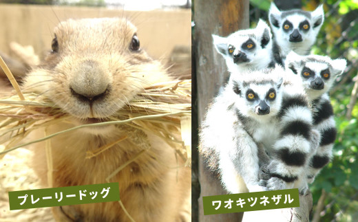 到津の森公園の動物たちに地元農産物を寄贈【思いやり型返礼品】