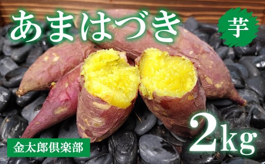 【先行予約】新品種あまはづき（2kg）生芋 サツマイモ さつまいも いも　※2024年9月～12月頃に順次発送予定 1250582 - 愛媛県伊方町
