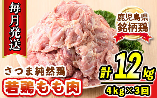 s528-A 【毎月・定期便3回】鹿児島県産銘柄鶏・さつま純然・若鶏もも肉(計12kg・4kg×3回) 鹿児島 国産 九州産 鶏肉 モモ肉 若鶏 精肉 唐揚げ チキンソテー 照り焼き 鍋【江夏商事】 1051827 - 鹿児島県さつま町