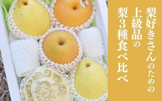 KF-C014【きよとう】梨好きに贈る、梨3種詰め合わせ（上級品） 753232 - 岡山県真庭市