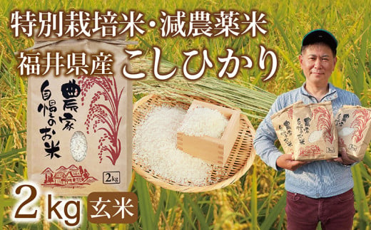 先行予約・新米〉減農薬米 こしひかり 2kg ／令和6年福井県産（白米