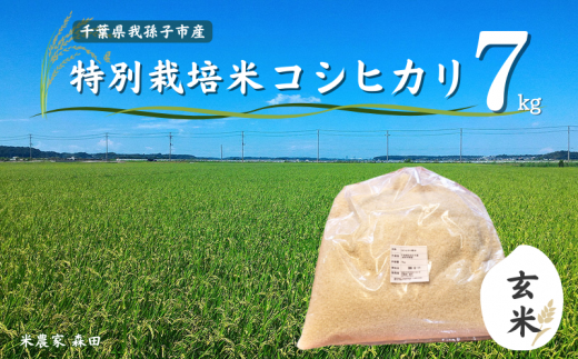 冷めても美味しい！ 特別栽培米 コシヒカリ 7kg（玄米） 農家直送 千葉県産 1095341 - 千葉県我孫子市