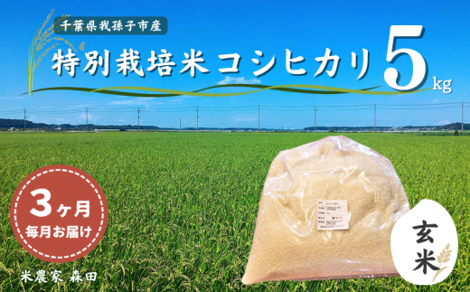 [毎月定期便3回]冷めても美味しい! 特別栽培米 コシヒカリ 5kg×3回 計15kg(玄米) 農家直送 千葉県産