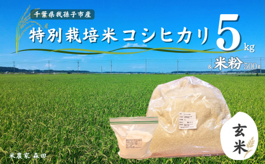 冷めても美味しい! 特別栽培米 コシヒカリ 5kg(玄米)と米粉のセット 農家直送 千葉県産